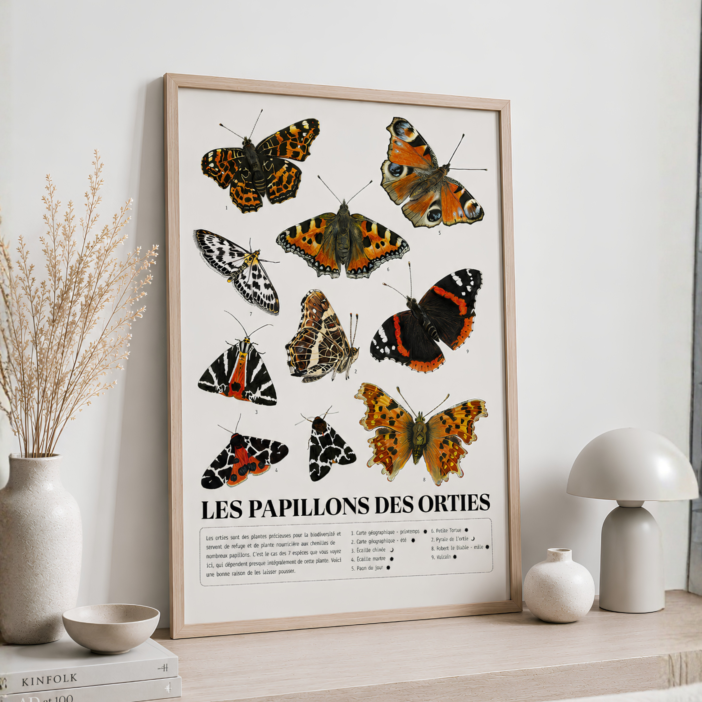 Les Papillons des Orties — Affiche naturaliste illustrée