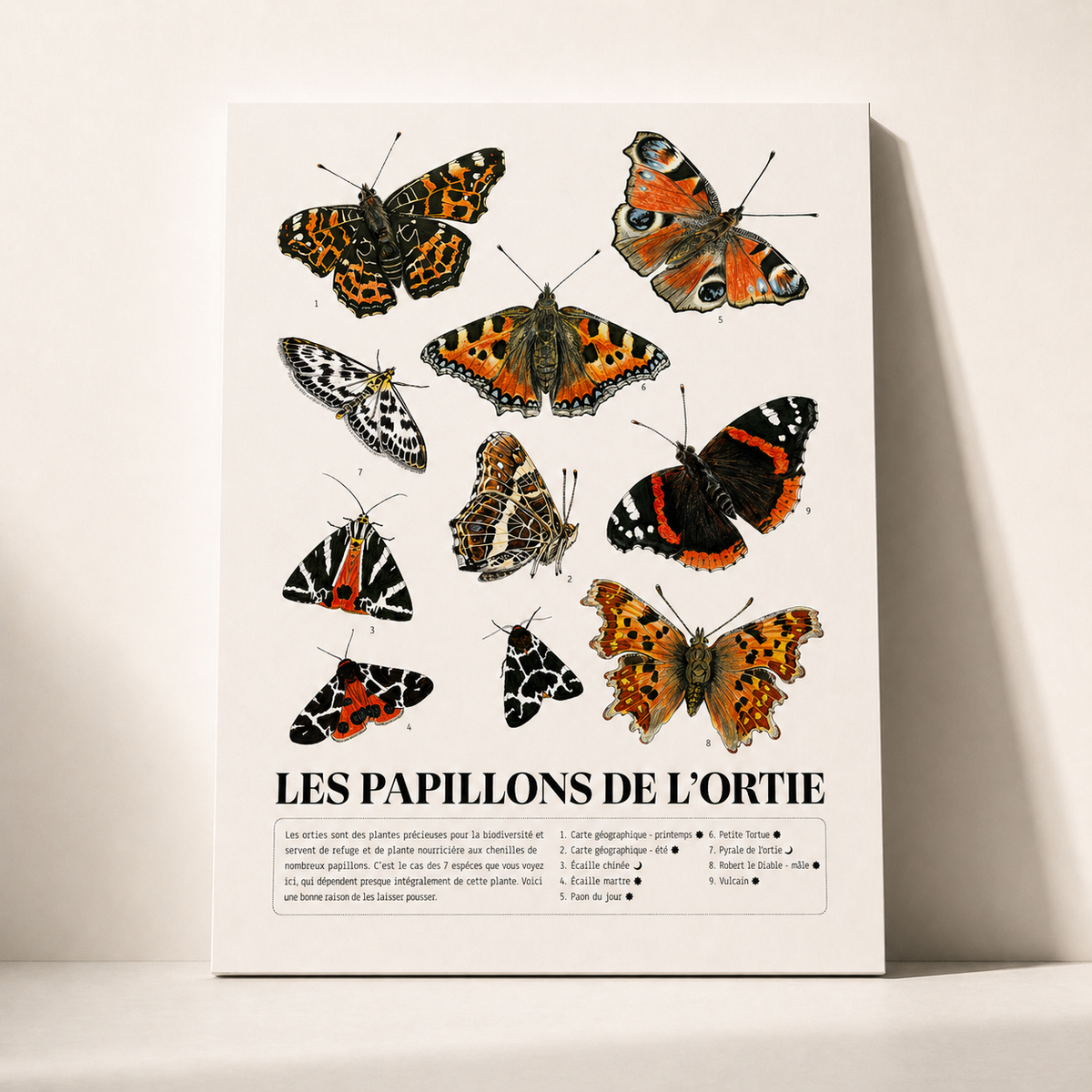 Les Papillons des Orties - Affiche naturaliste illustrée (format A2) - Précommandes ouvertes