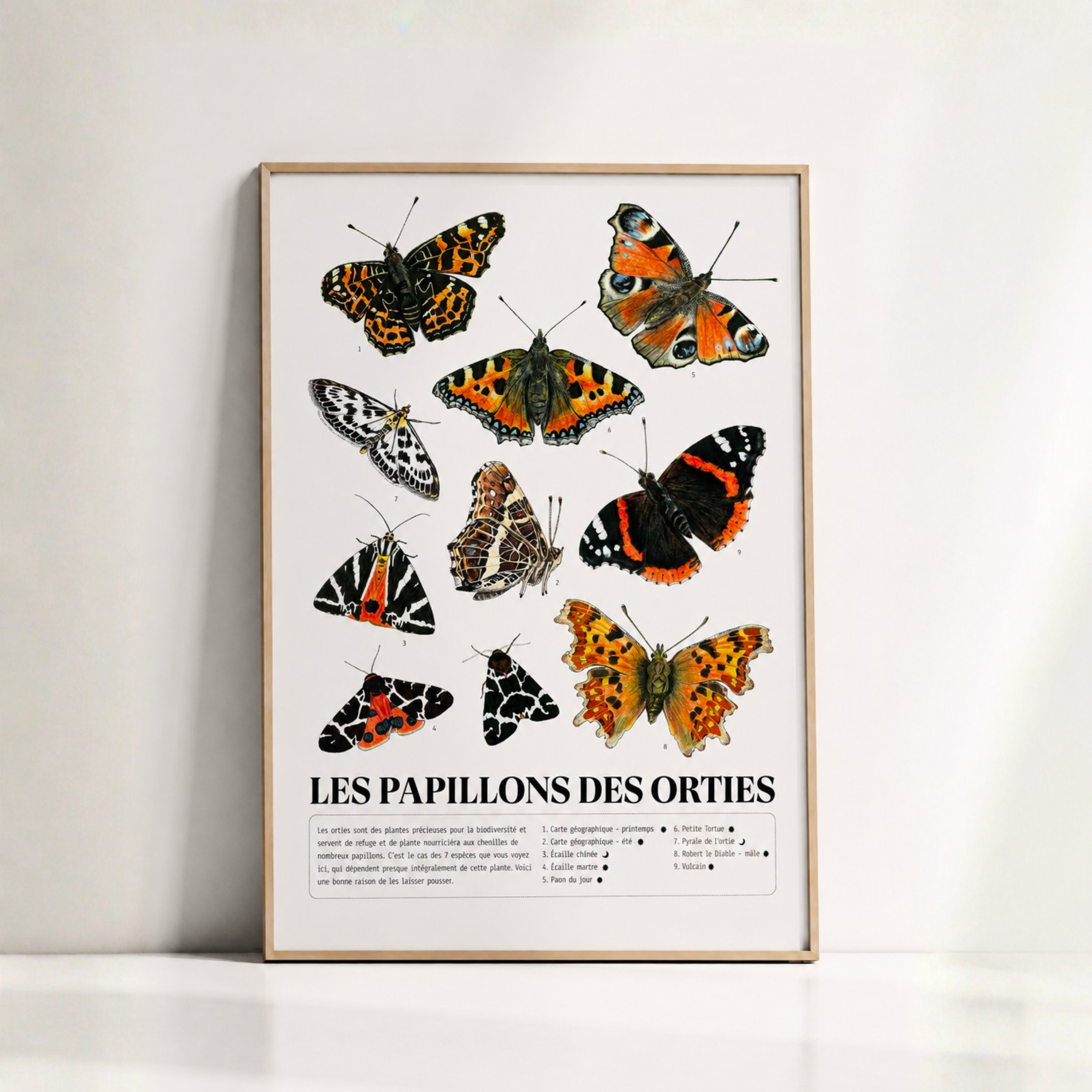 Les Papillons des Orties — Affiche naturaliste illustrée